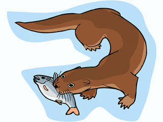 Nutria clipart #12, Download drawings