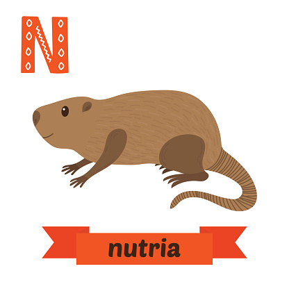 Nutria clipart #15, Download drawings