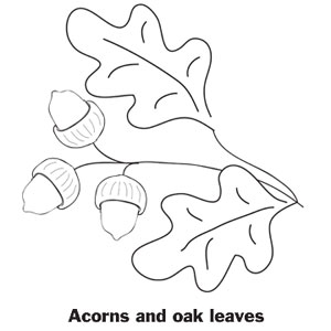 Oak coloring #10, Download drawings
