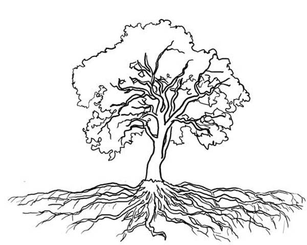 Tree Root coloring #19, Download drawings
