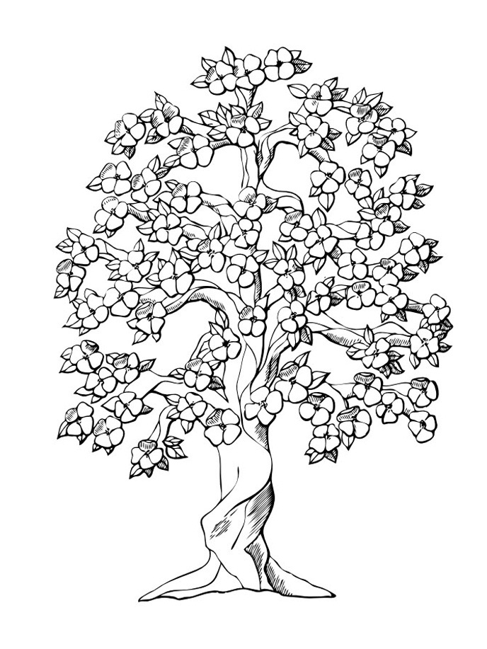 Oak Tree coloring #9, Download drawings