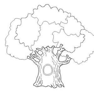 Oak Tree coloring #18, Download drawings