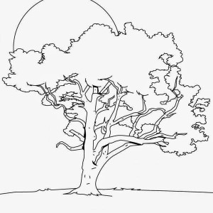 Oak Tree coloring #15, Download drawings