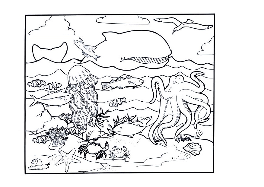 Ocean coloring #4, Download drawings