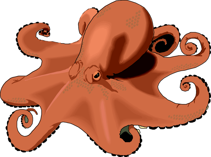 Octopus clipart #5, Download drawings