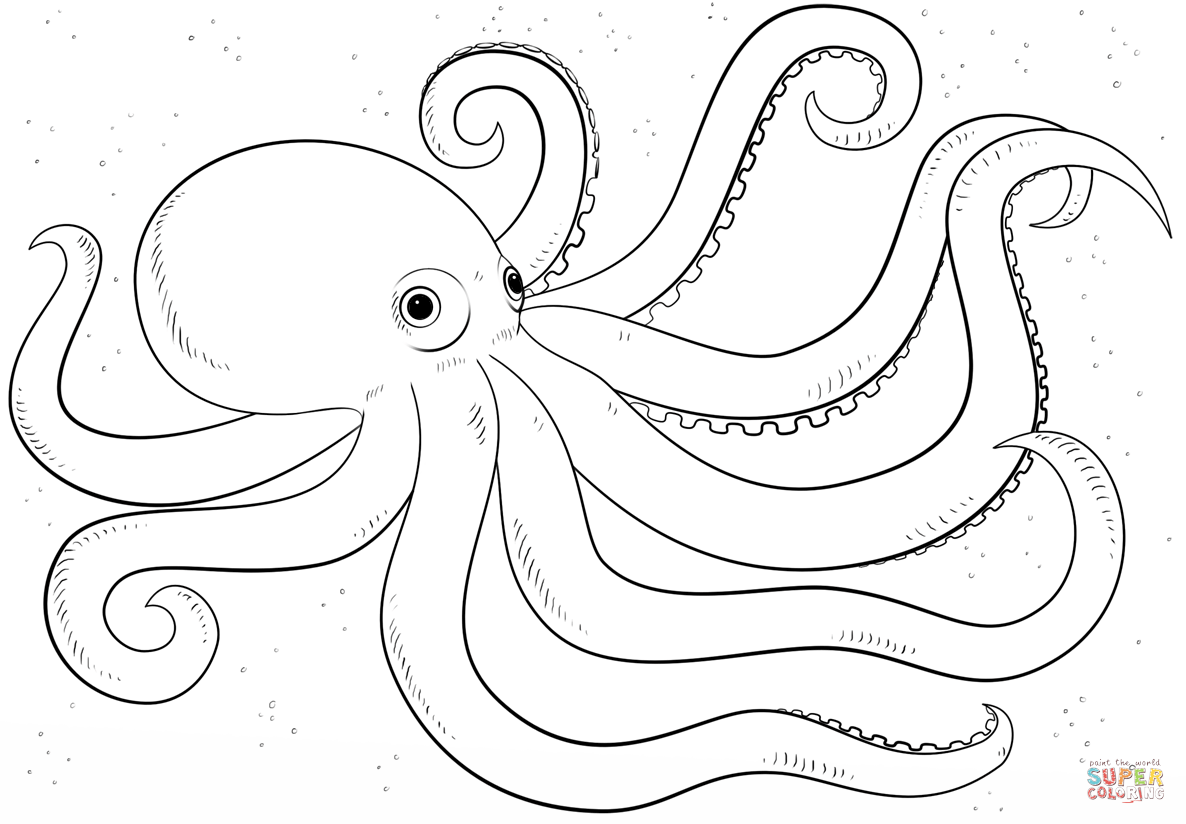 Octopus coloring #9, Download drawings