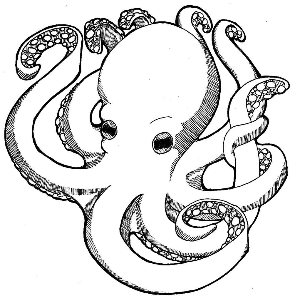 Octopus coloring #19, Download drawings