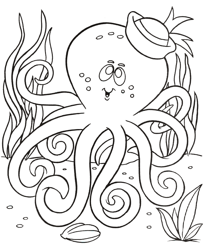 Octopus coloring #20, Download drawings