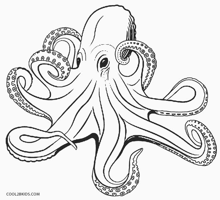 Octupus coloring #4, Download drawings