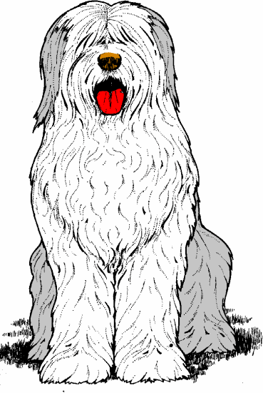 Old English Sheepdog clipart #13, Download drawings