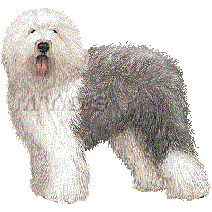 Old English Sheepdog clipart #9, Download drawings