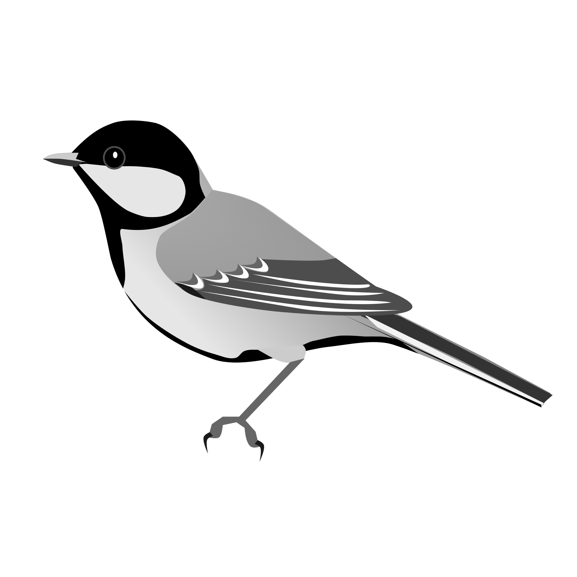Old World Flycatcher svg #10, Download drawings