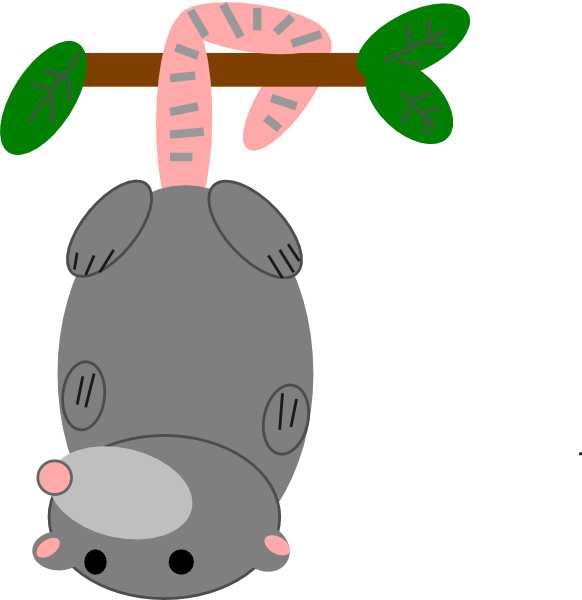 Opossum clipart #3, Download drawings