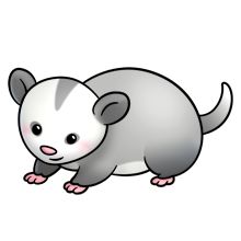 Opossum clipart #6, Download drawings