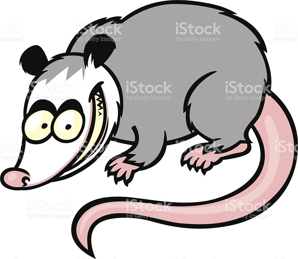 Opossum clipart #4, Download drawings