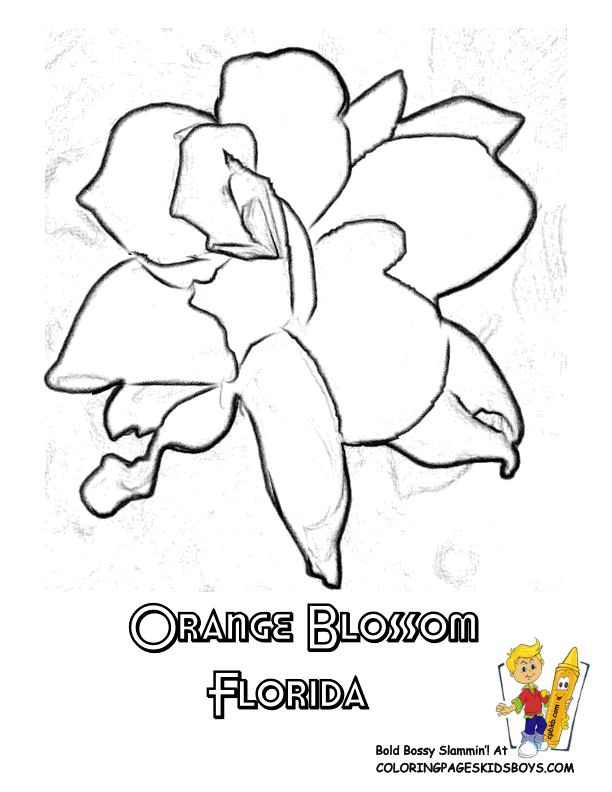 Orange Flower coloring #16, Download drawings