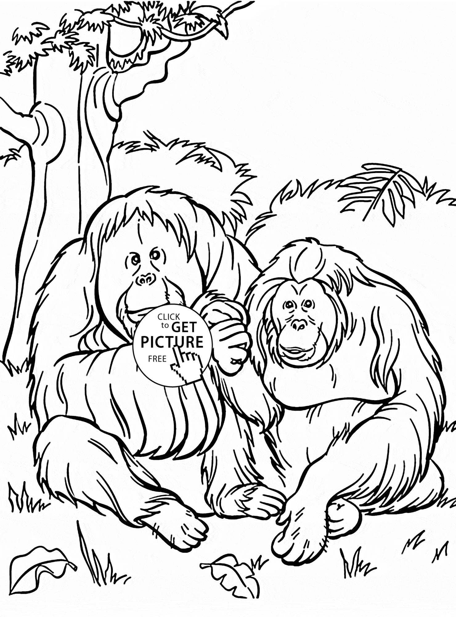 Orangutan coloring #5, Download drawings