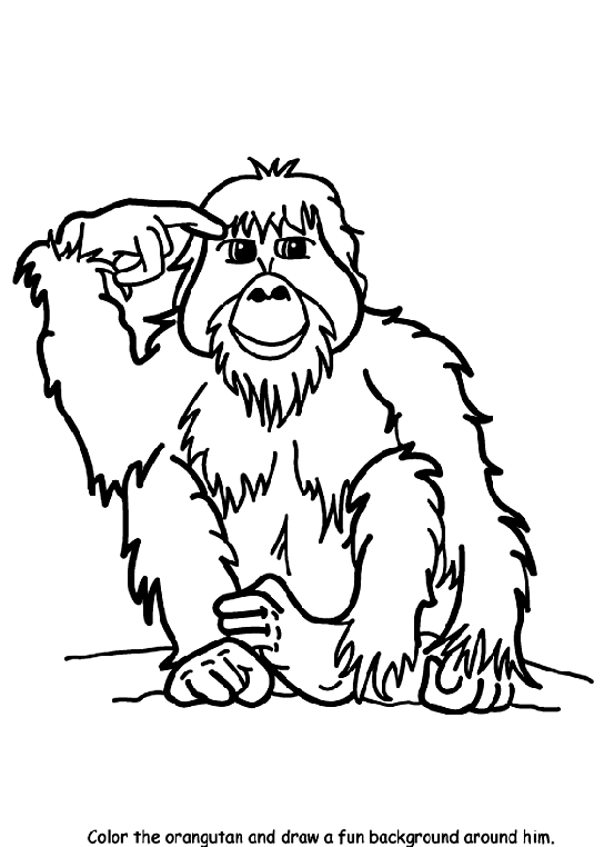 Orangutan coloring #19, Download drawings