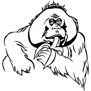Orangutan svg #19, Download drawings