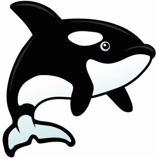 Orca clipart #5, Download drawings