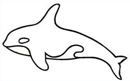 Orca clipart #11, Download drawings