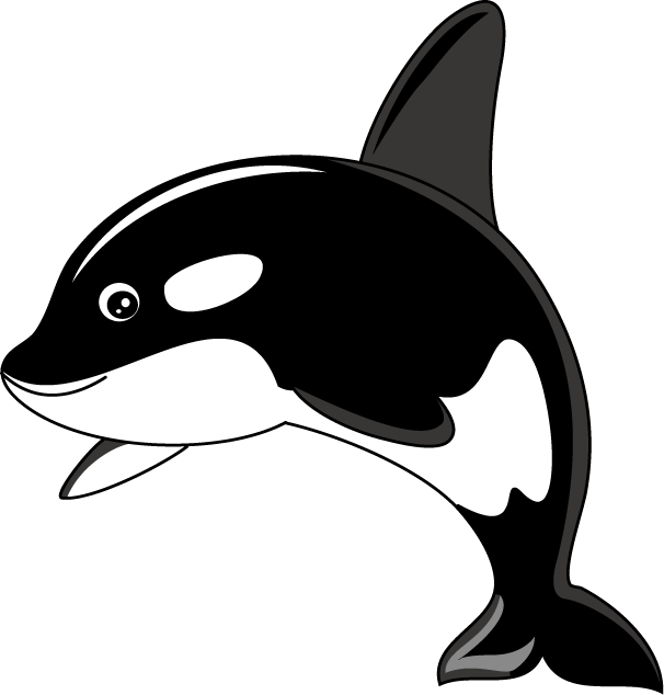 Orca clipart #20, Download drawings