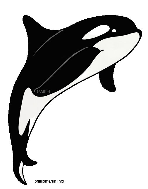 Orca clipart #19, Download drawings