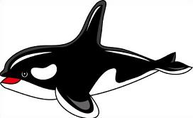 Orca clipart #18, Download drawings
