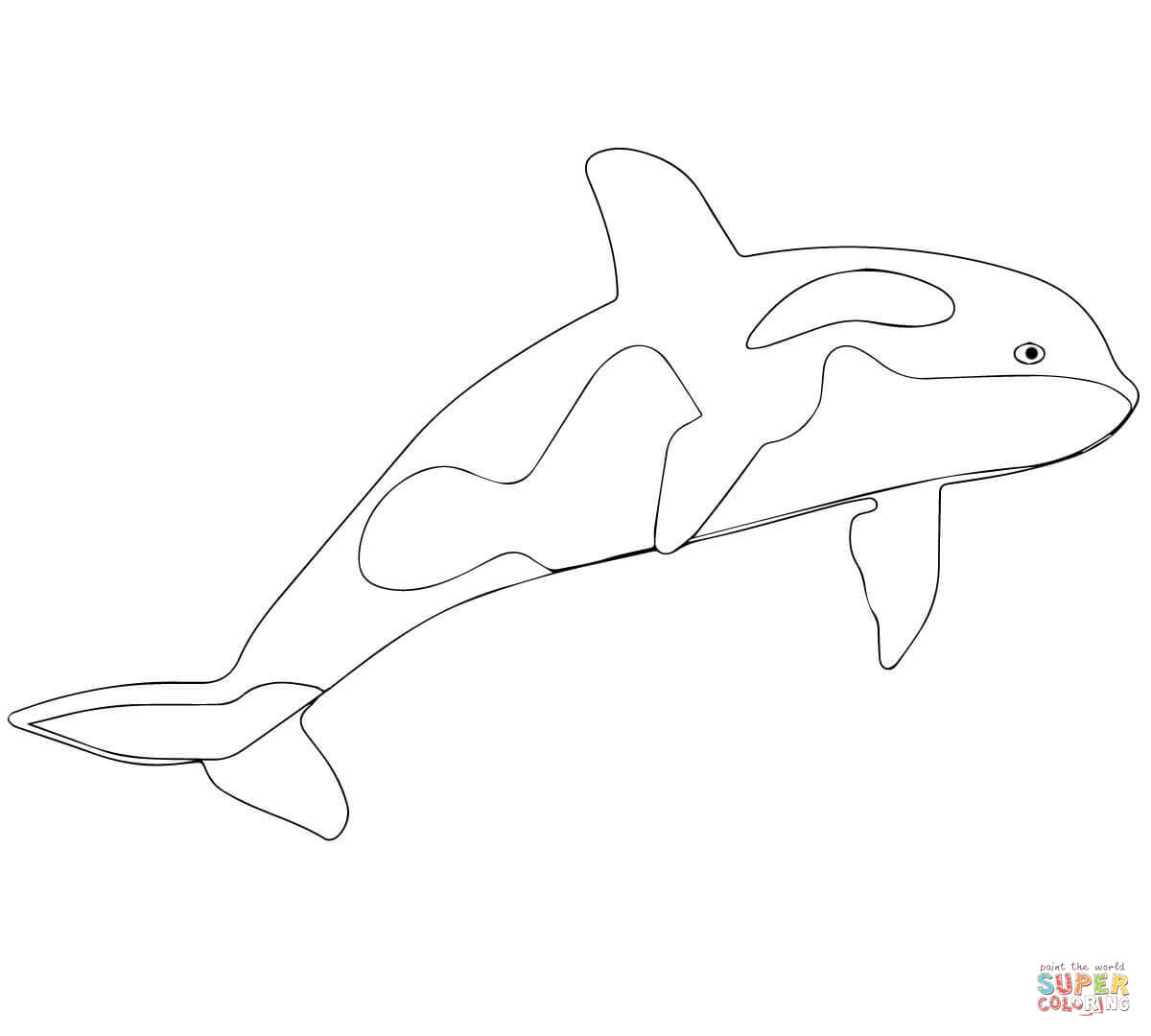 Orca coloring #3, Download drawings