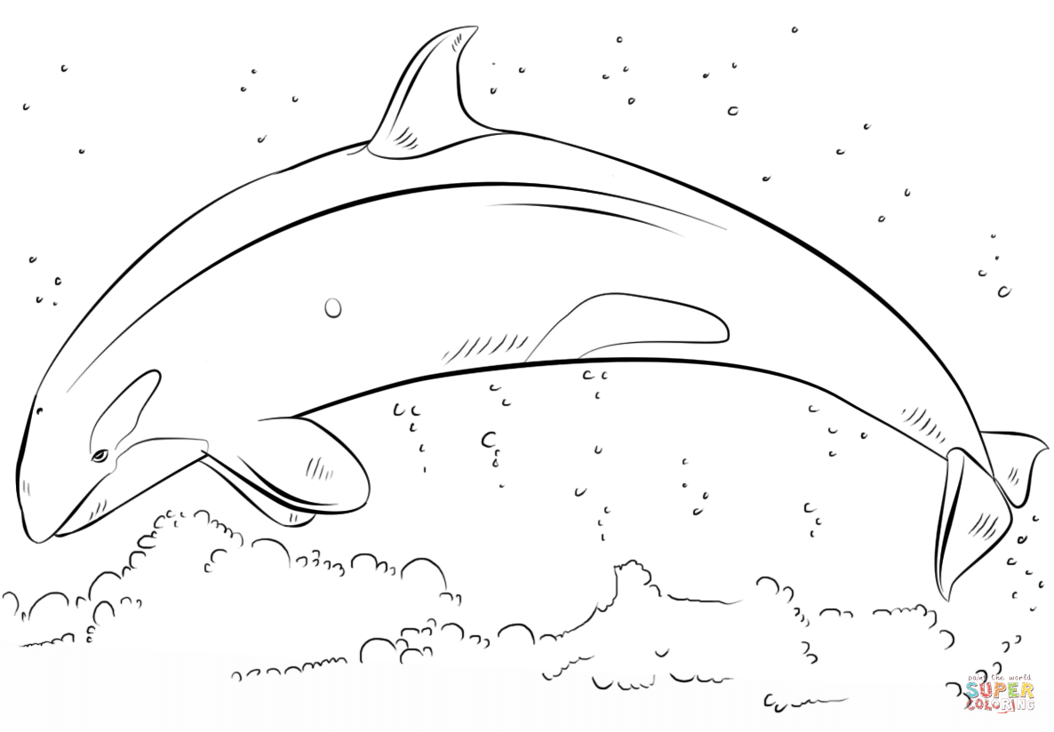 Orca coloring #10, Download drawings