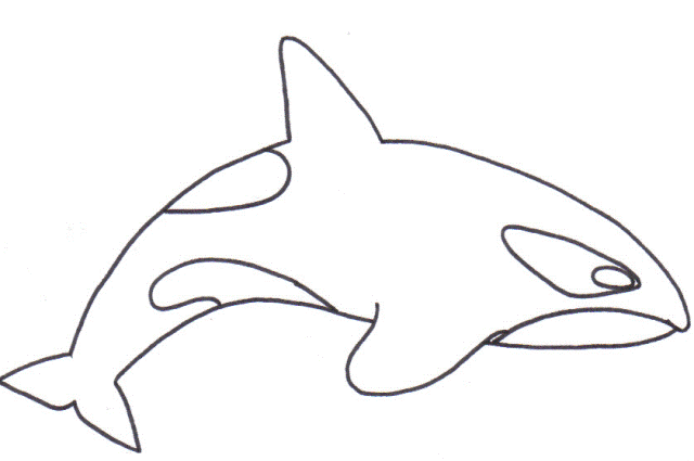 Orca coloring #16, Download drawings