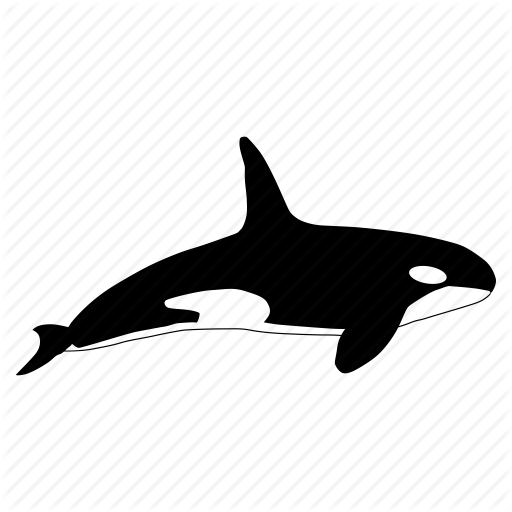 Orca svg #10, Download drawings