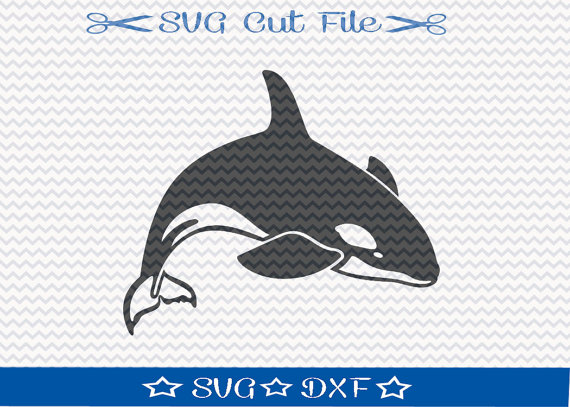Orca svg #1, Download drawings