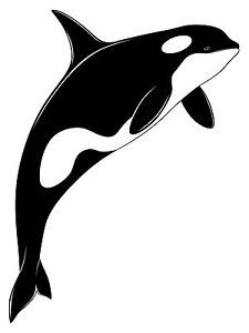Orca svg #18, Download drawings