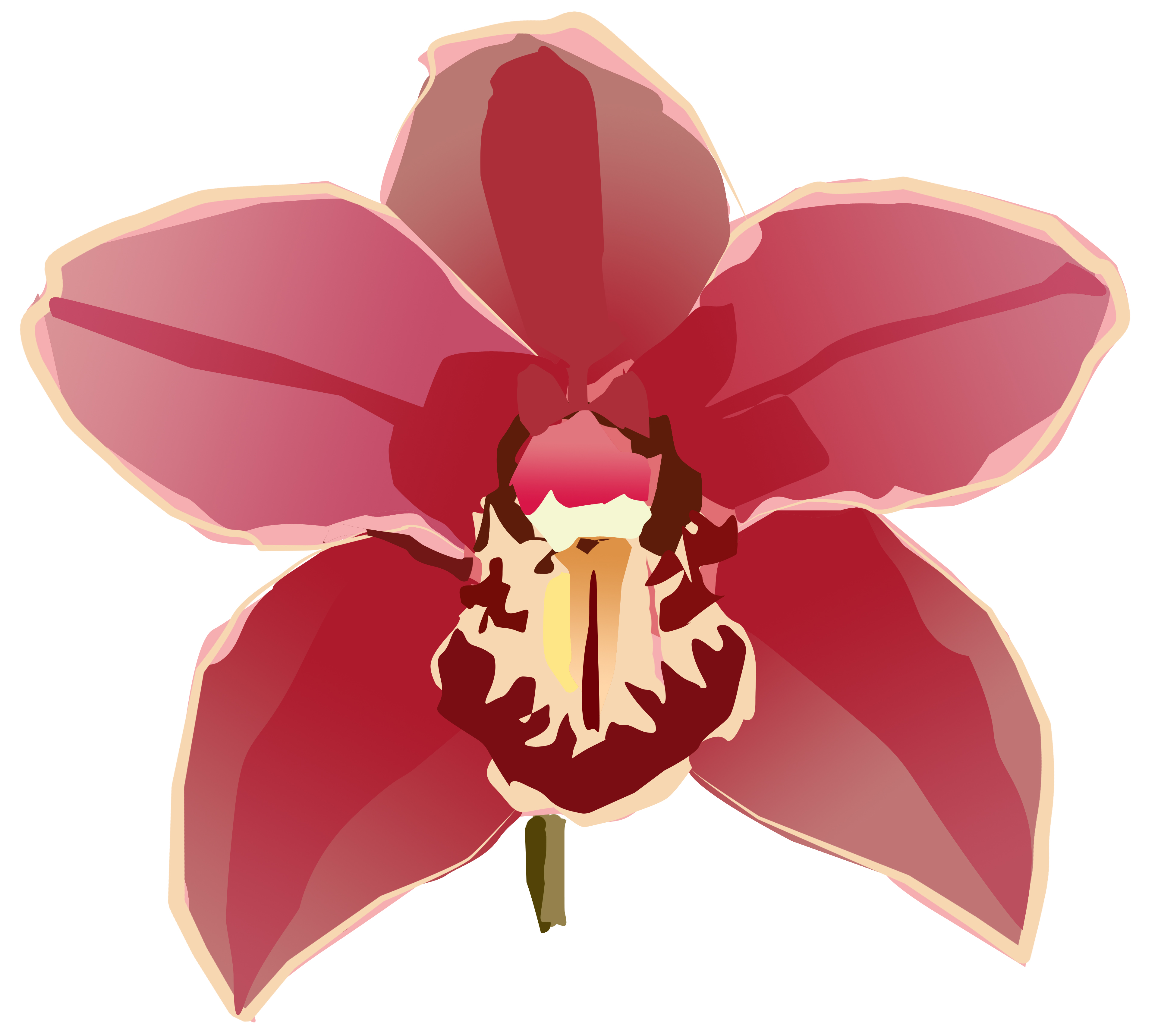 Orchid svg #9, Download drawings