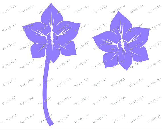 Orchid svg #19, Download drawings