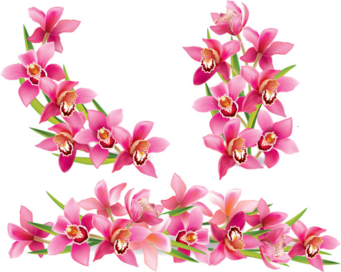 Orchid svg #8, Download drawings