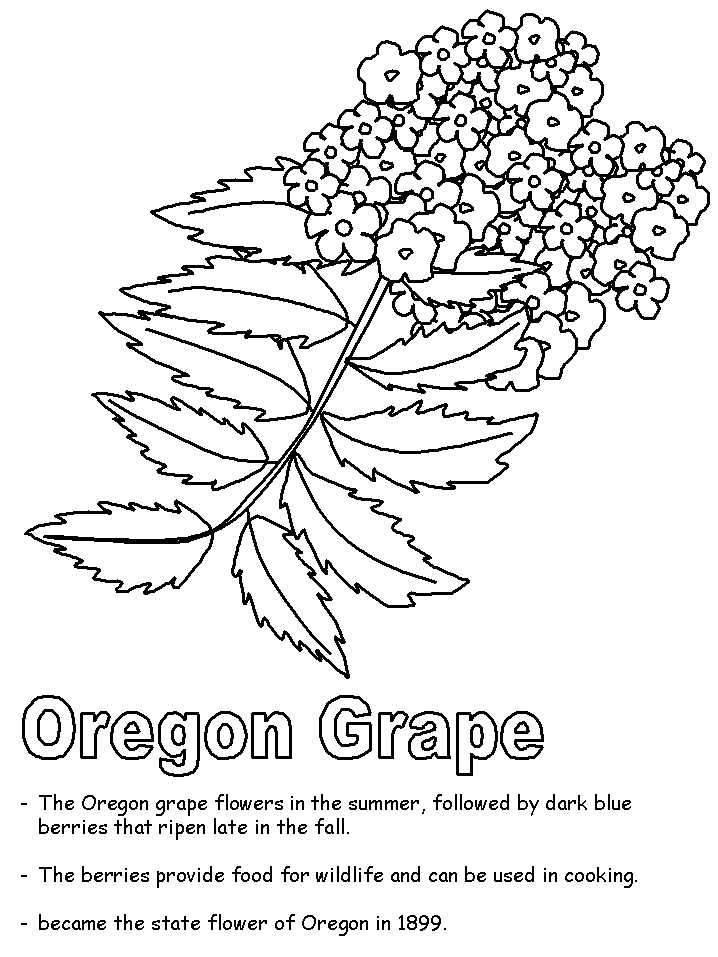 Oregon coloring #10, Download drawings