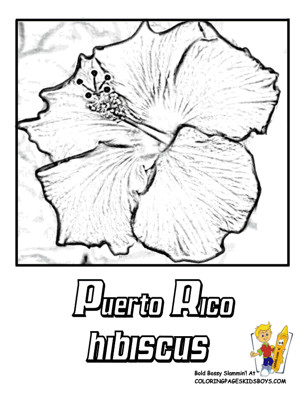 Puerto Rico coloring #16, Download drawings
