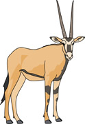 Oryx clipart #18, Download drawings