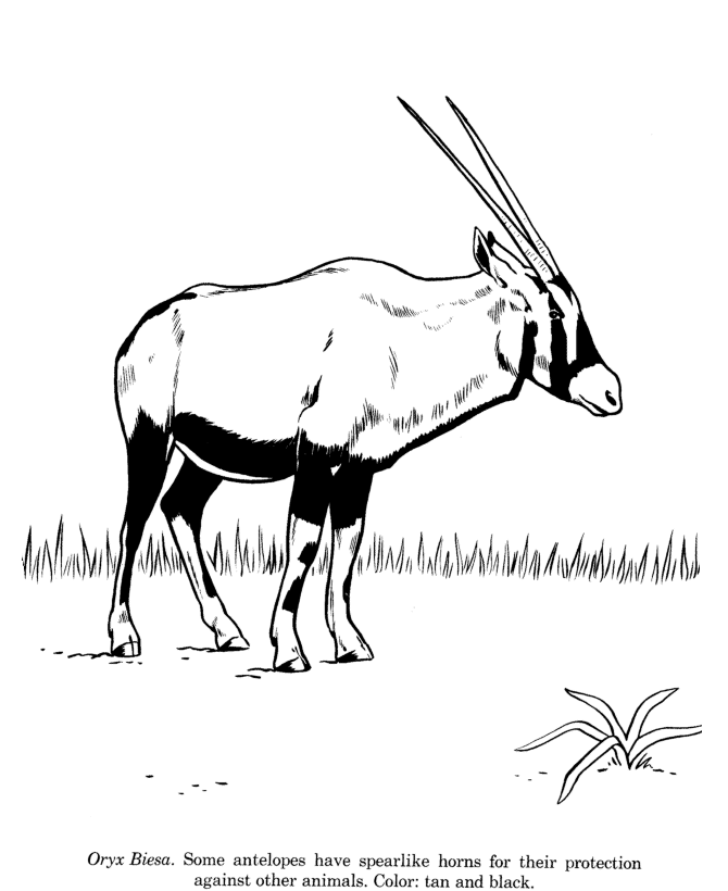 Oryx coloring #20, Download drawings