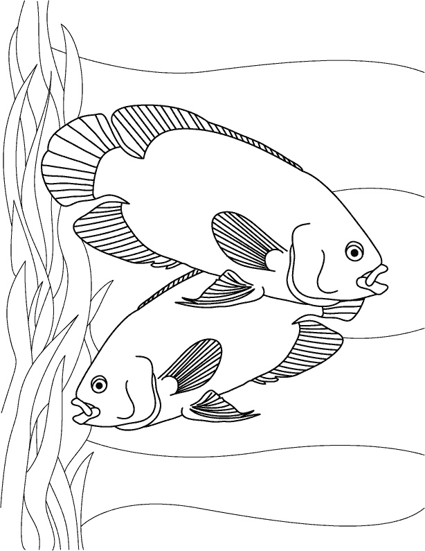 Oscar (Fish) coloring #17, Download drawings