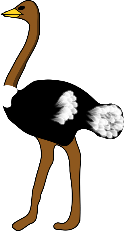 Ostrich clipart #15, Download drawings
