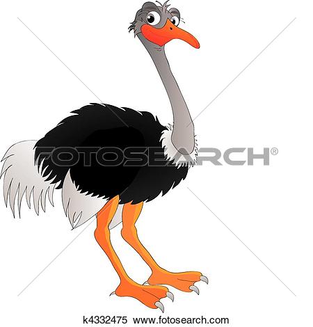 Ostrich clipart #11, Download drawings