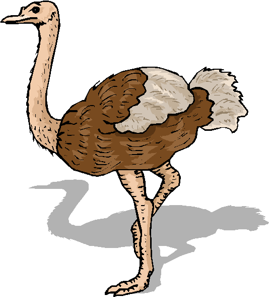 Ostrich clipart #9, Download drawings