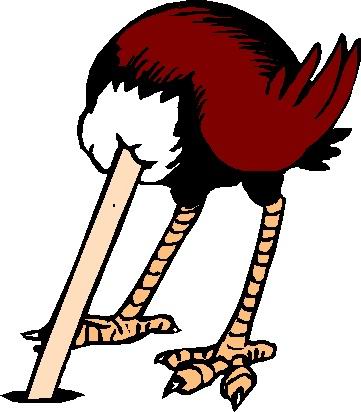 Ostrich clipart #2, Download drawings