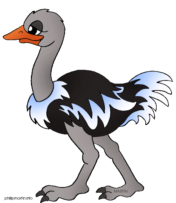 Ostrich clipart #17, Download drawings