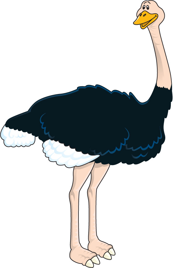 Ostrich clipart #7, Download drawings