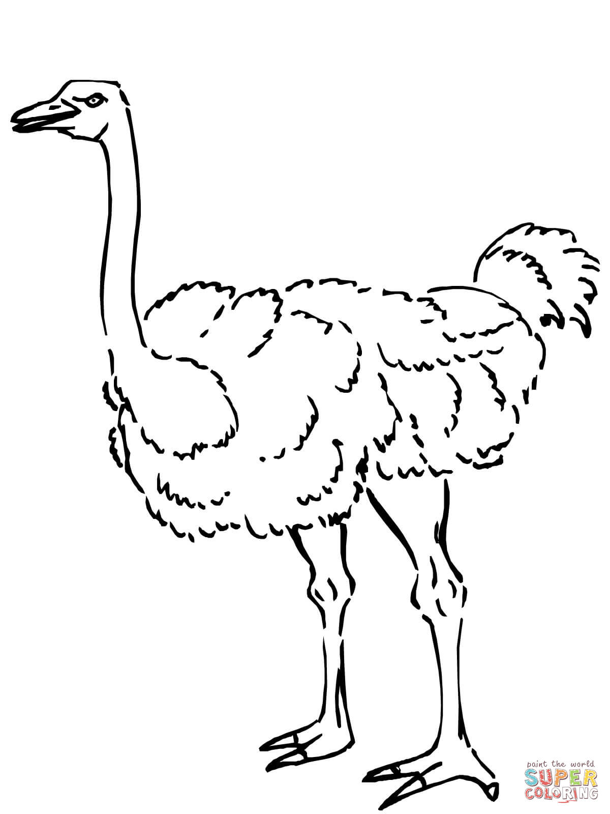 Ostrich coloring #7, Download drawings
