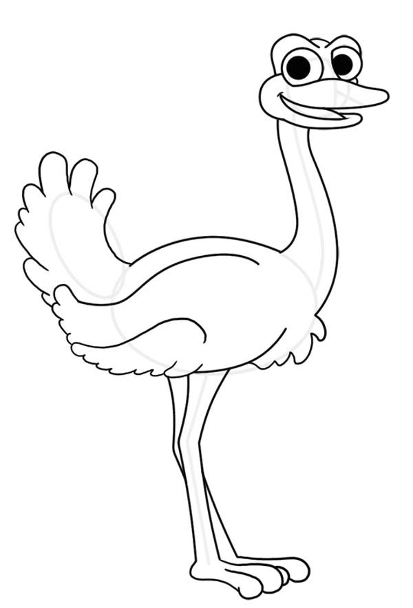 Ostrich coloring #9, Download drawings